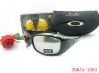 acheter sunglasses oakley 2013 lentille beau oakley good-9081